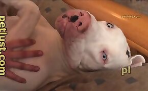 sex with dog porn, human fucks with animal