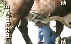 beastiality sex free videos, outdoors beastiality scenes