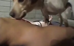 beastiality sex free videos, asian zoophilia