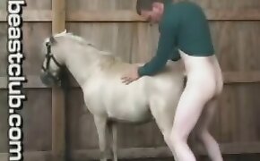 farm porn, horse porn videos