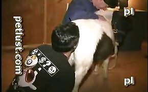 free zoofilia video, fuck with animal porn