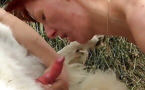 passionate, animals