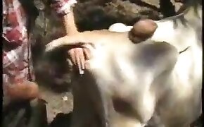 animals, freak having sex with animal