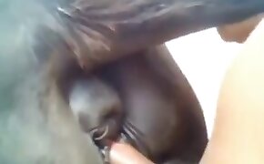 videos with beastiality, beastiality sex free videos