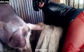 sex with pig, fucking beastiality scenes