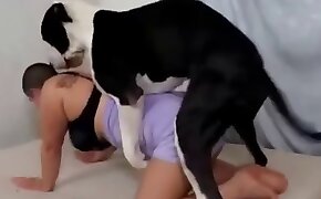 sex with animals videos, free zoofilia video