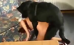 redhead, zoophiles enjoying sex