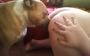 anal fuck with animals, woman fucking with animal