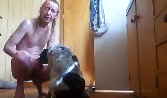 ilmainen eläimellisyyden seksivideo, eläin