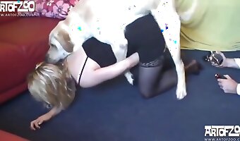 free animal porn, animal