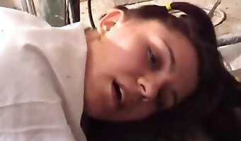 زووسكس, حيوان