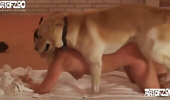 žena šuká se zvířetem, ohromující