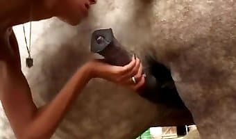 زووسكس, حيوان