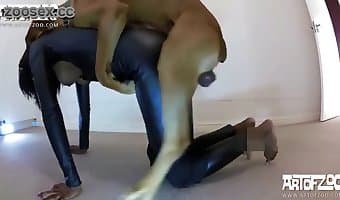 amateur dog sex, free bestiality sex video