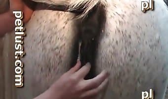 dick, zoosex