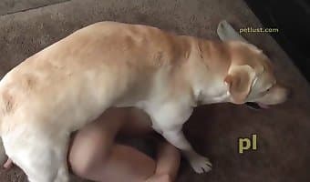 fuck, dog sex woman