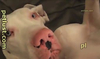 pussy, wet