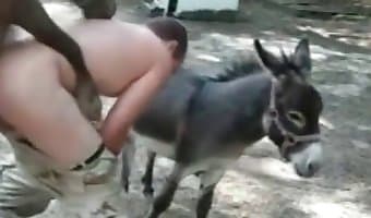 farm sex, free bestiality sex video