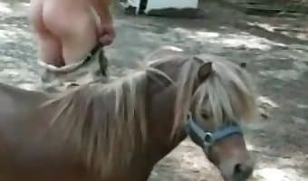 donkey video