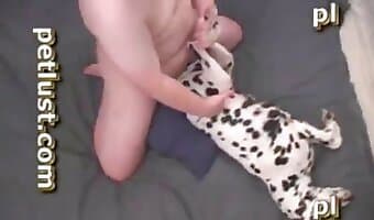زووسكس, ممارسة الجنس مع الكلاب للهواة