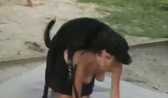 amateur-dog-sex blowjob