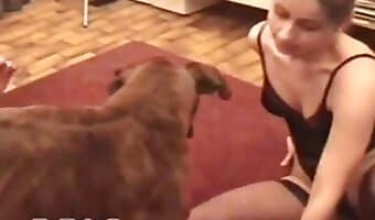 group sex, zoosex