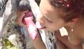 ممارسة الجنس في الهواء الطلق, زووسكس