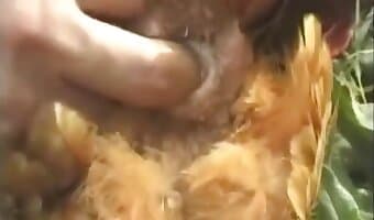 fucking chicks, animal porn xxx clips