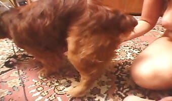intense fucking, animal porn xxx clips