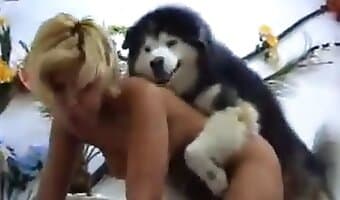 giggly amateur-dog-sex
