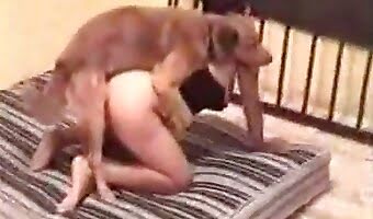 amateur-dog-sex dog-fucks-girl