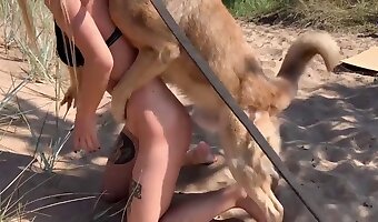 Outdoor dog hentai video with real people