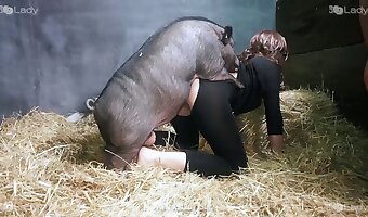 Farm sex scene with a really hot pig