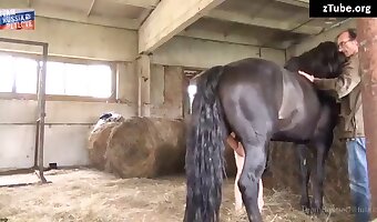 free bestiality sex video, zoosex
