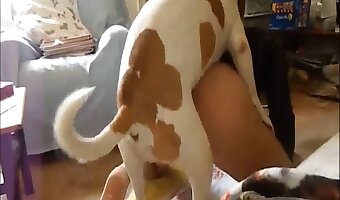 beastporn, fucking