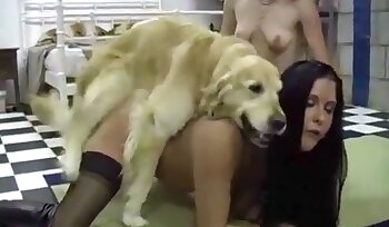 sex with animal,bestiality sex porn