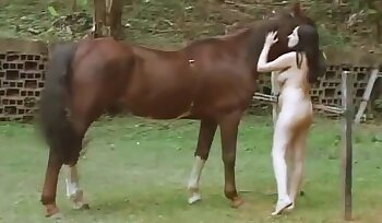 sexo com garanhão,vídeos pornográficos de zoológico