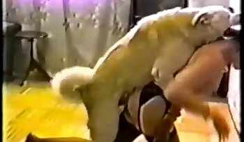 vídeos de sexo bestial gratis,porno de sexo bestial