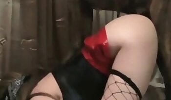 zoo porn videos,zoophilia sex videos