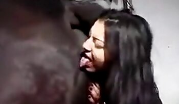 sex with animal,mare fucks