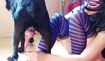porno videa ze zoo,porno se sodomií