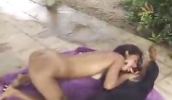 जानवर के साथ सेक्स,ज़ोफ़िलिया सेक्स वीडियो