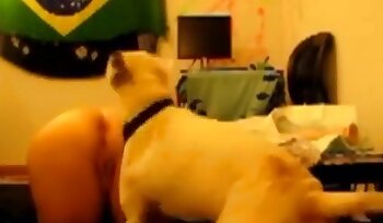 sesso con animali,video porno dello zoo