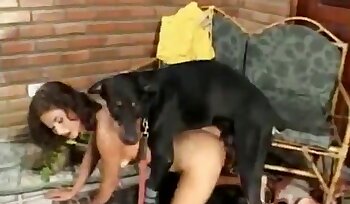 ženské a zvířecí porno,sexy krásky