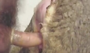 sex with animal,bestiality sex porn