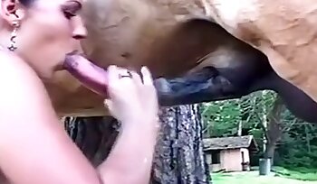 zoofília szexvideók,csoportos bestialitás