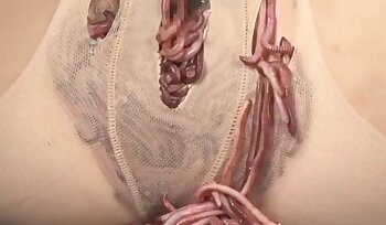 जानवर के साथ सेक्स,ज़ोफ़िलिया सेक्स वीडियो