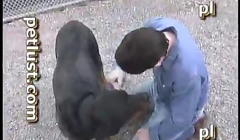 与动物发生性关系,动物园色情影片