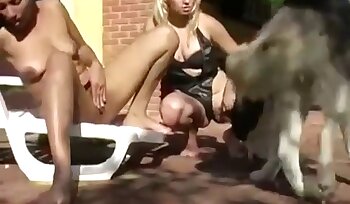 動物との性行為,動物園のポルノビデオ
