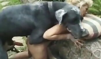 与动物发生性关系,动物园色情影片